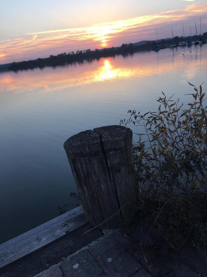 Ferienwohnung Fraenkisches Seenland - Fewo Antje Mitteleschenbach Bagian luar foto